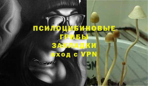первитин Вязьма